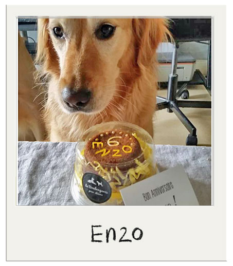 Bon anniversaire Enzo !